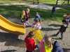 IMG_20250326_092442