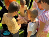 IMG-c68a05da7f833fc82473cf6977aebca6-V